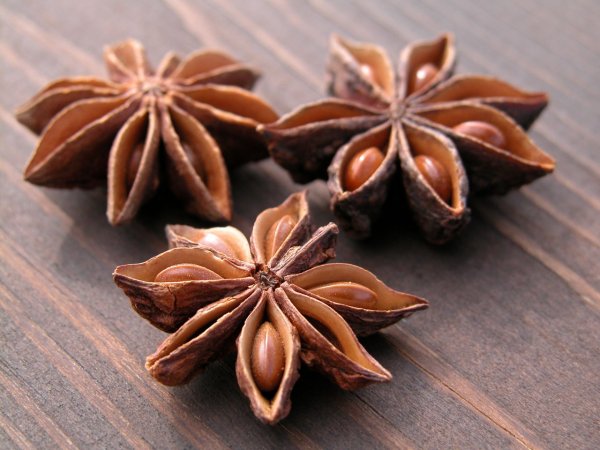 Anise Seed Star - Red Club
