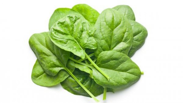 Baby Spinach