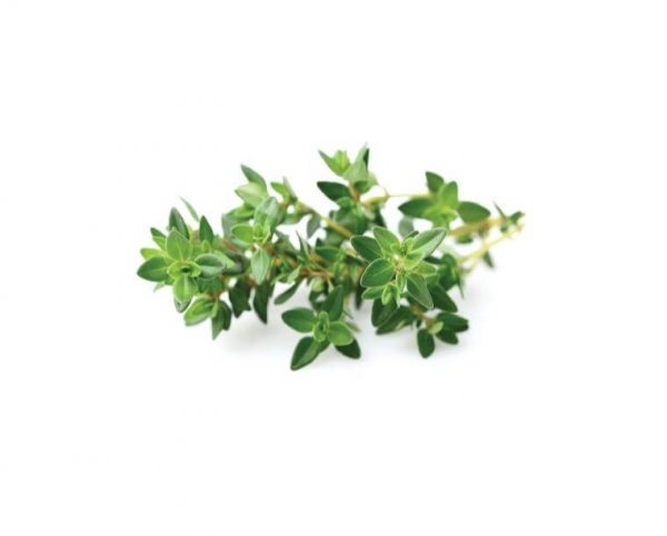 Thyme - Fresh