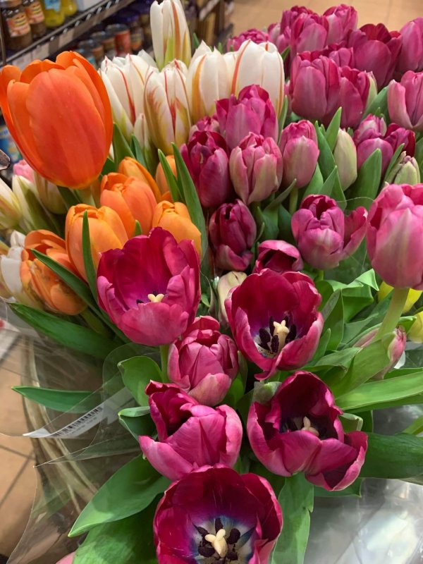 Bouquet - Tulip