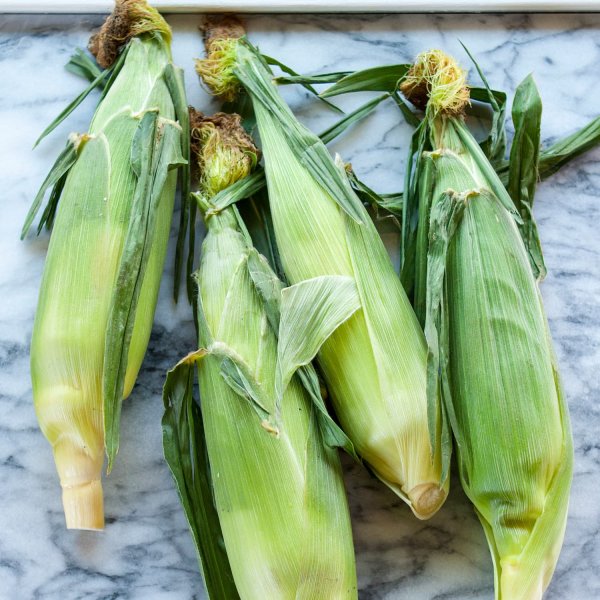 Corn