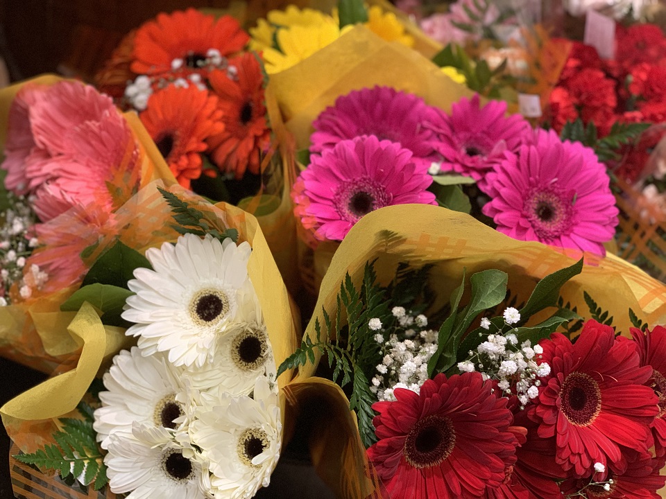 Bouquet - Gerbera Daisy - Angelos Italian Bakery & Market
