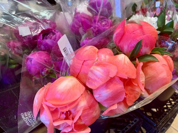 Bouquet - Peonies