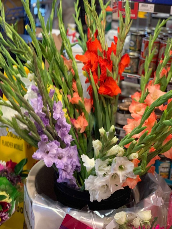 Bouquet - Gladiolus