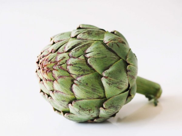 Baby Artichoke