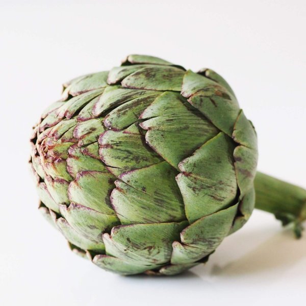 Baby Artichoke
