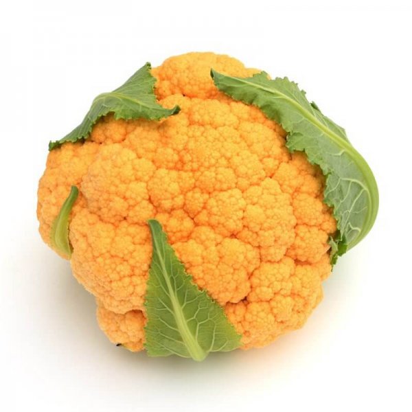 Cauliflower - Orange