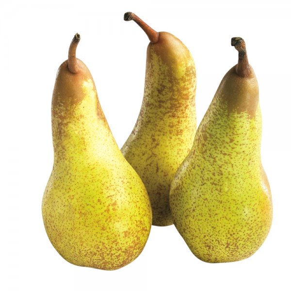Pears - Italian Abate