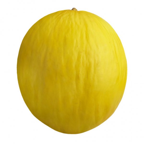 Melon - Canary Half