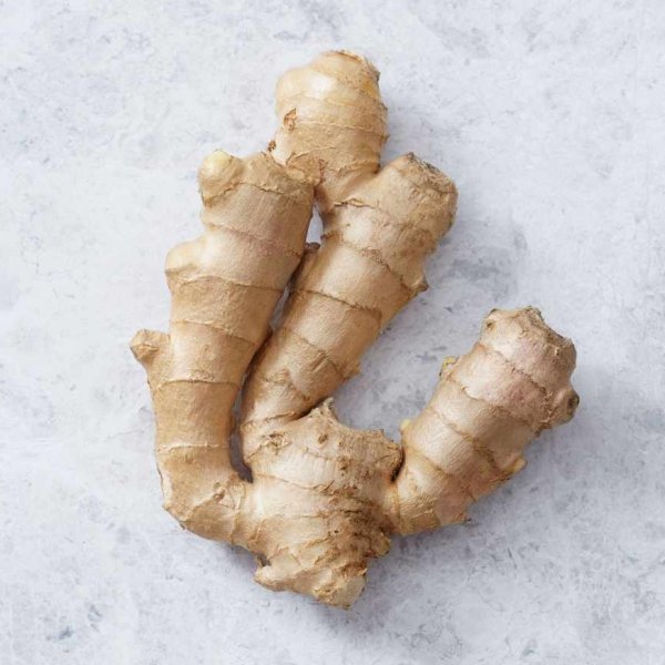 Ginger