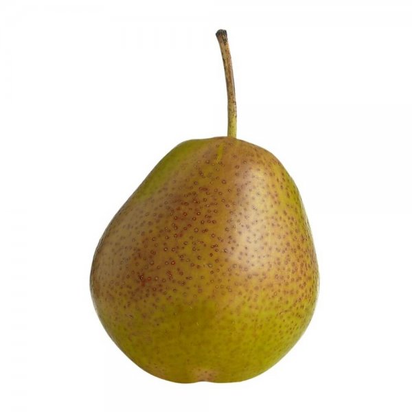 Pear - Sweet Forelle