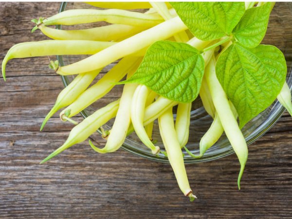 *Local - Beans - Yellow*