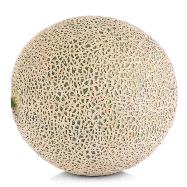 Melon - Cantaloupe