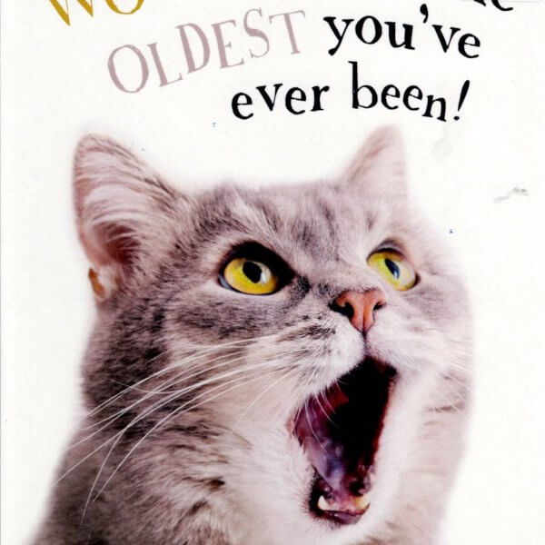 Birthday Card - Cat