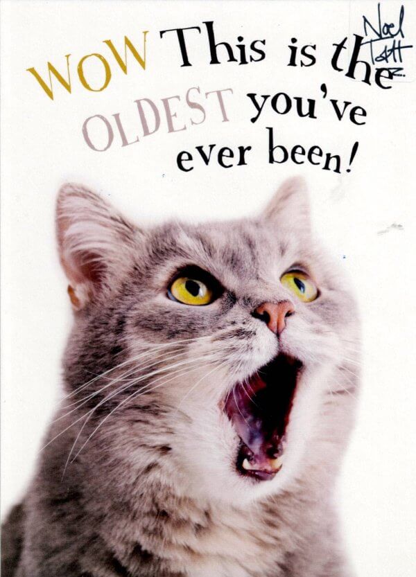 Birthday Card - Cat