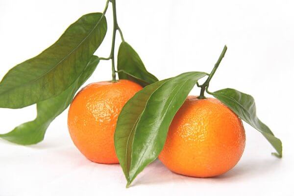 Clementine with Stem and Leaf