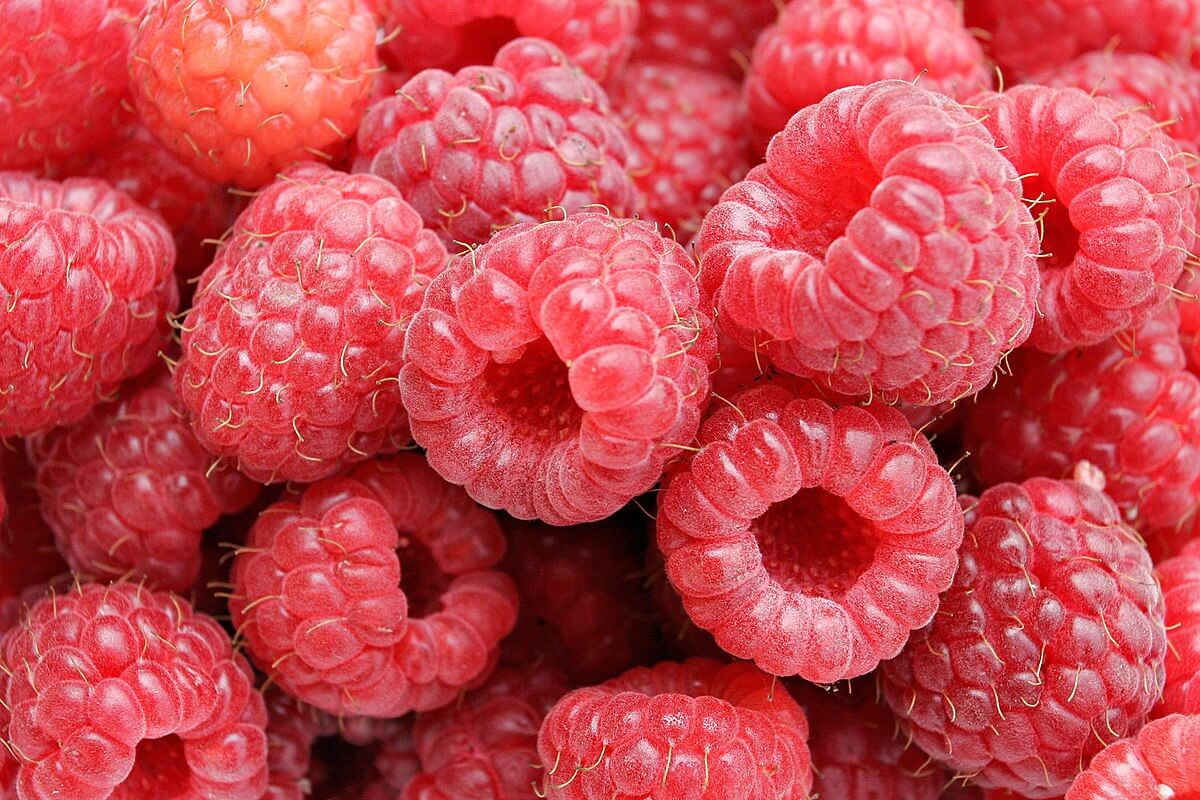 *Local - Raspberries* | Angelo's Italian Bakery And Market