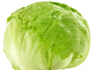 Lettuce - Iceberg