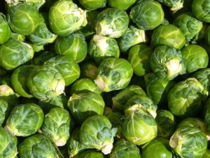 Brussel Sprouts