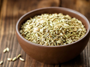 Fennel Seed - Red Club 75gr