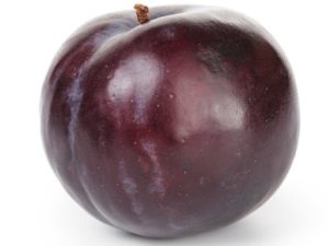 Plum - Black