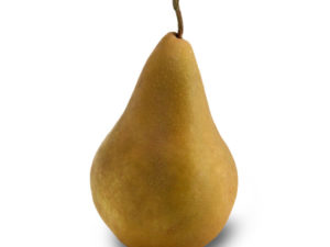 Pear - Bosc