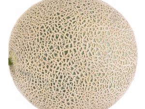 Melon - Cantaloupe