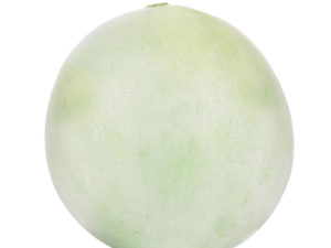 Melon - Honeydew