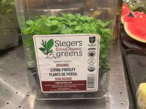Parsley - Slegers Greens