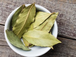 Bay Leaves - Red Club 17gr