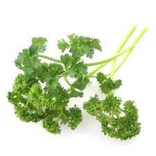 Parsley - Fresh - Curly
